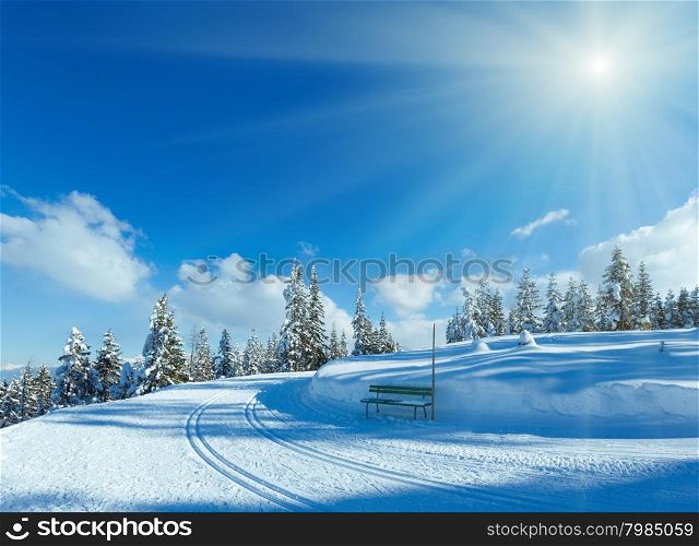 Winter mountain fir forest snowy landscape with ski track and bench (top of Papageno bahn - Filzmoos, Austria)
