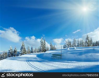 Winter mountain fir forest snowy landscape with ski track and bench (top of Papageno bahn - Filzmoos, Austria)