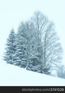 Winter mountain foggy dull day snowfall landscape