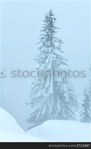 Winter mountain foggy dull day snowy landscape