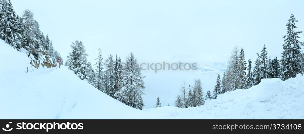 Winter mountain foggy dull day snowy panorama.