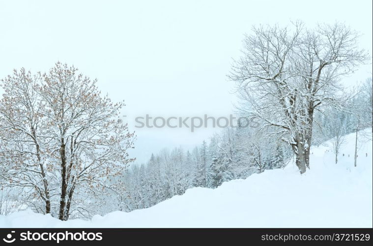 Winter mountain foggy snowfall landscape (dull day)