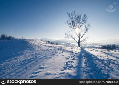 Winter mountain hills at sunny day