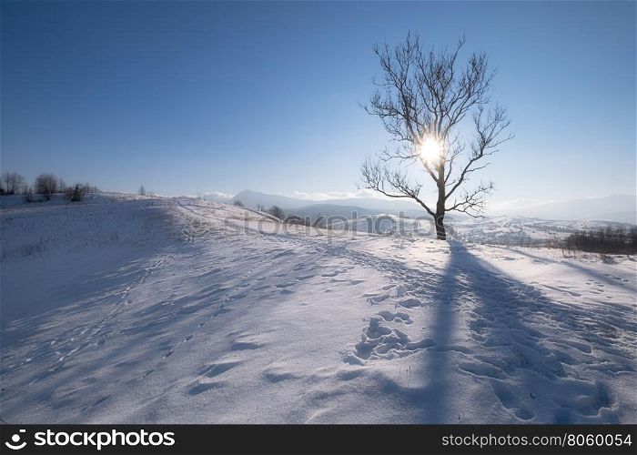 Winter mountain hills at sunny day