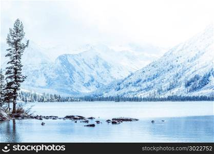 Winter mountain lake with snow-covered pine trees on the shore. Frosty weather in the Altai mountains, fog over the winter lake. A number of snow-covered trees on the river.