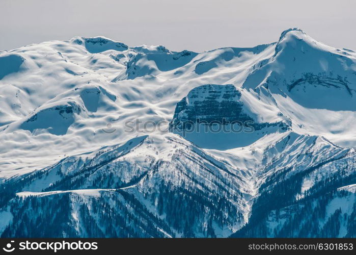 Winter mountain landscape. Caucasus ridge covered with snow in sunny day. Krasnaya Polyana, Sochi, Russia