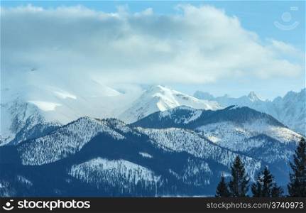 Winter mountain landscape with fir forest on slope (Slovakia, High Tatras).