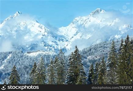 Winter mountain landscape with fir trees (Heiterwang outskirts, Austria, Tirol)