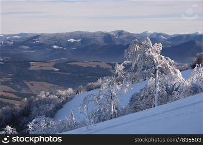 Winter mountain landscape with fir trees on the hill. Carpathian Mountains, Ukraine
