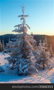 Winter mountain landscape with snow covered trees in first morning sunbeams