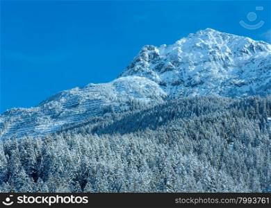 Winter mountain landscape with snowy fir forest on slope (Austria, Tirol).