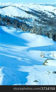 Winter mountain landscape with snowy spruce trees on slope(Hochkoenig region, Austria)
