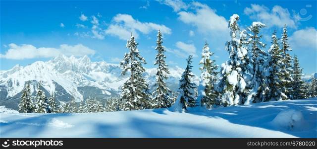 Winter mountain panorama with fir forest (top of Papageno bahn - Filzmoos, Austria)