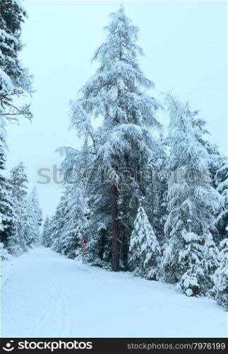 Winter mountain pass with snow-covered road and snowy trees (Austria, Tirol)