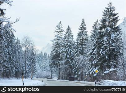 Winter mountain road with snowy fir forest.