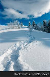 Winter mountain snowy landscape. Winter calm mountain landscape with beautiful frosting trees and footpath track through snowdrifts on mountain slope (Carpathian Mountains, Ukraine)