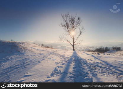 Winter mountain snowy rural sunrise landscape