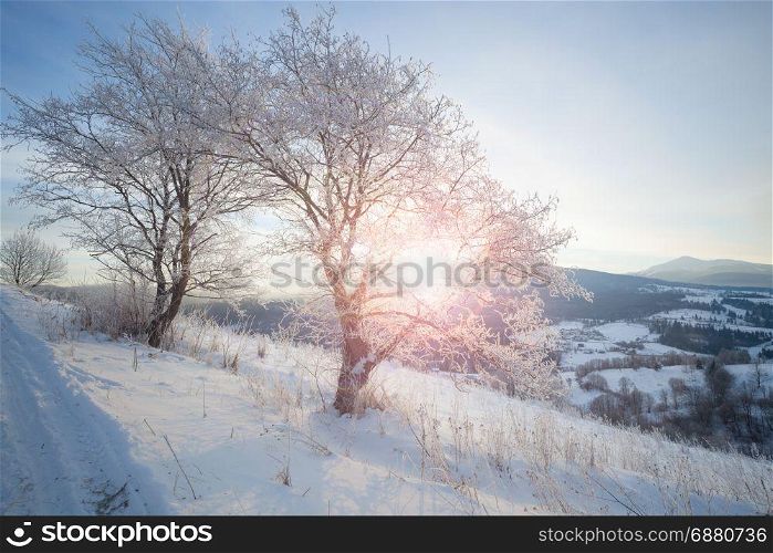 Winter mountain snowy rural sunrise landscape