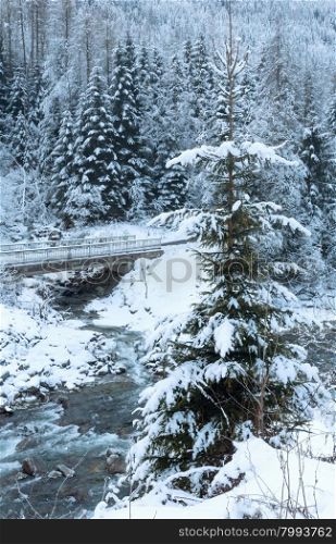 Winter mountain stream view with bridge over water and snowy forest (Austria).
