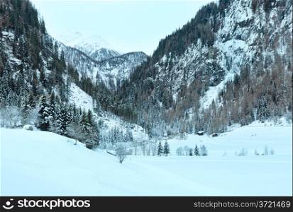 Winter mountain view with forest on rocky slope (Austria)