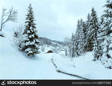 Winter mountain village with wooden houses, rural road and snowy fir forest. Country Ukrainian Carpathians landscape in cloudy weather.