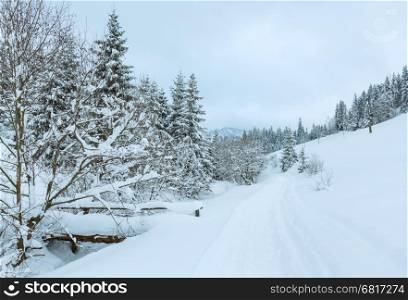 Winter mountain village. Wooden bridge and snowy rural road in Ukrainian Carpathians in cloudy weather.