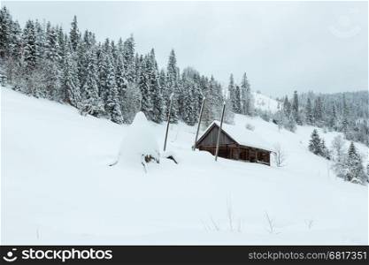 Winter mountain village. Wooden house and haystack under snowdrift on slope of Ukrainian Carpathians in cloudy weather.