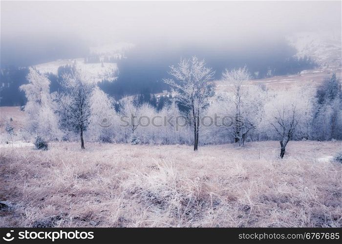 Winter mountains hills, Ukraine
