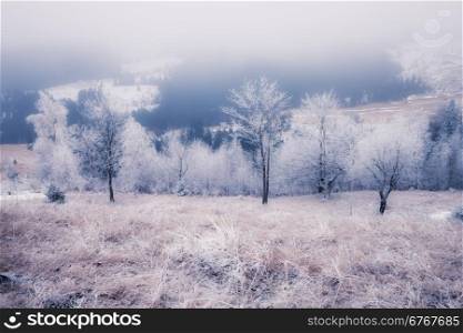 Winter mountains hills, Ukraine