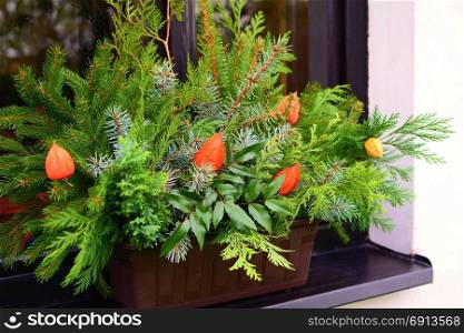 Winter natural house decoration with coniferous branches in a pot on a windowsill.