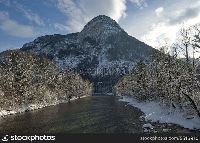 winter nature landscape mountaint with tree and fresh snow