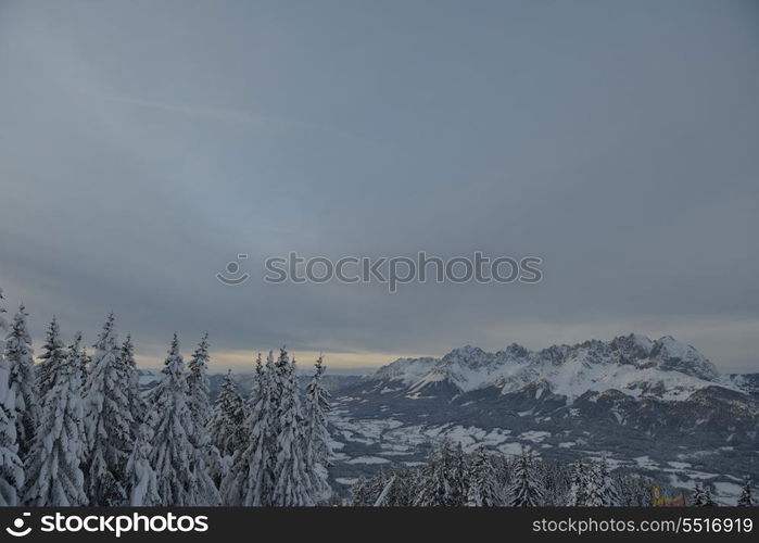 winter nature landscape mountaint with tree and fresh snow