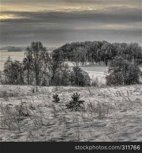 Winter of low color, cloudy midday. A snow covered lake and forest. Countryside at Lithuania.