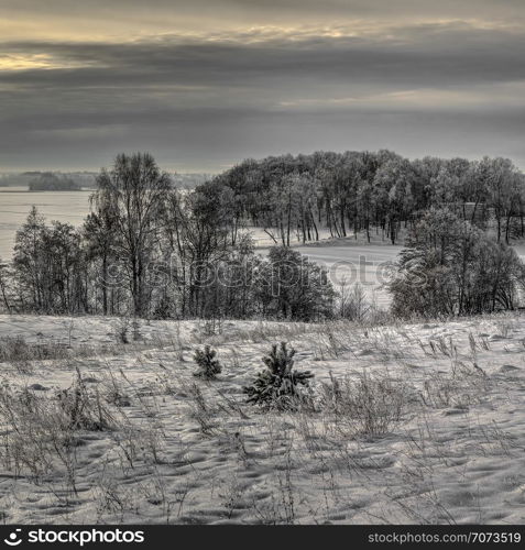 Winter of low color, cloudy midday. A snow covered lake and forest. Countryside at Lithuania.