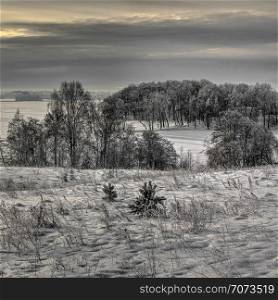 Winter of low color, cloudy midday. A snow covered lake and forest. Countryside at Lithuania.
