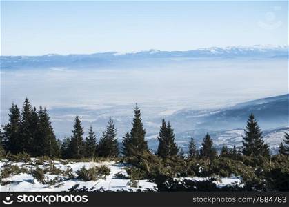Winter panoramic landscape with trees, distant mountains and white mist in lowland