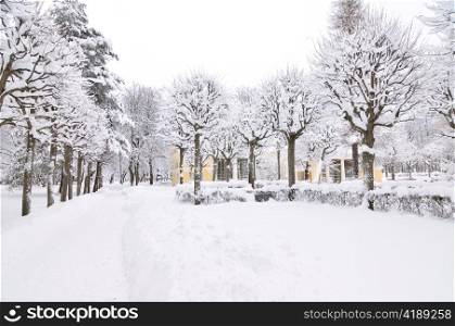 winter park, Pavlovsk, Saint-Petersburg, Russia