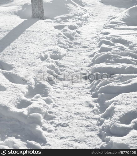 Winter path in a fresh snow