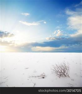 Winter plain. Composition of nature.