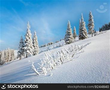 Winter rime and snow covered fir trees on mountainside