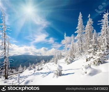 winter rime and snow covered fir trees on mountainside (Carpathian Mountains, Ukraine) and sunshine in sky