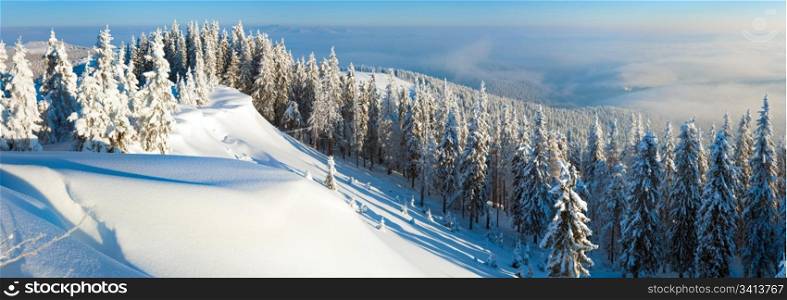 Winter rime and snow covered hill top with fir trees and snowdrifts (Carpathian Mountains, Ukraine). Three shots stitch image.
