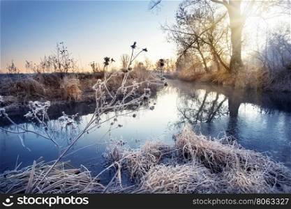 Winter river with branches in the frost at dawn. Winter river with branches in the frost