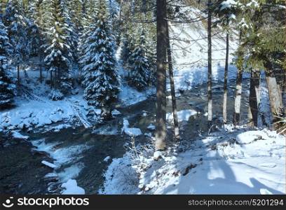 Winter river with fir trees on bank.