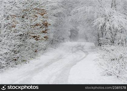 Winter road and snow splash. Winter trees with frost. Winter space and road. Winter snow road and forest landscape