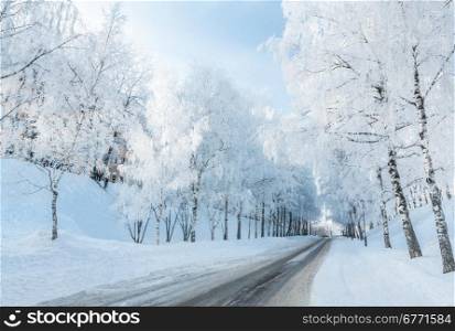 Winter road running along the snow-covered trees. Russia, Yaroslavl