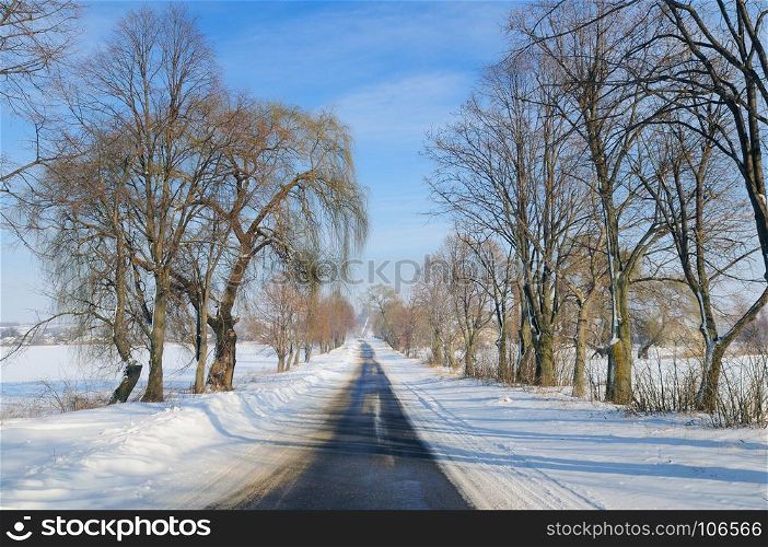 Winter road through snowy fields and trees .
