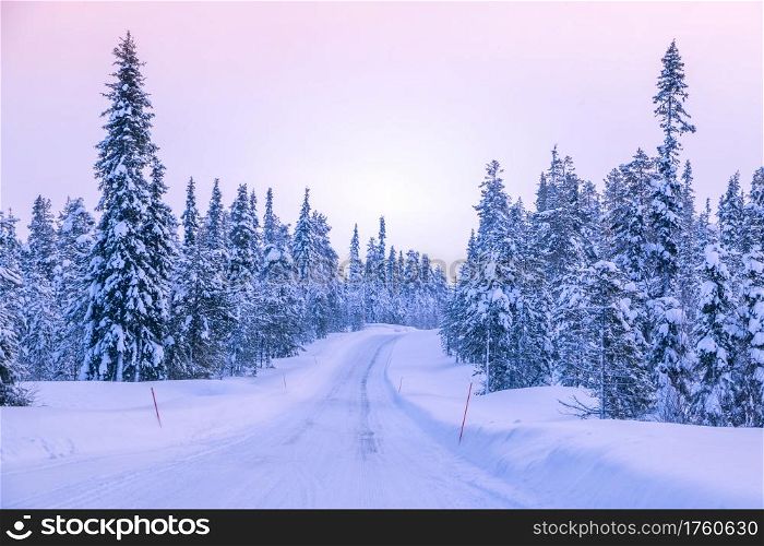 Winter road through the northern forest. Snow-covered spruces. Red landmarks marking the edges of the roadway. Winter Road through the Northern Forest