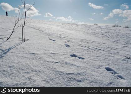 Winter scene .snowy hill with footprints