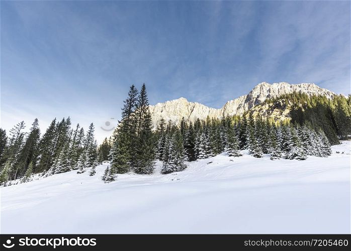 Winter scenery in the Austrian Alps with clean white snow and snowy forest. Snow-covered trees and rocky mountains under a blue sky
